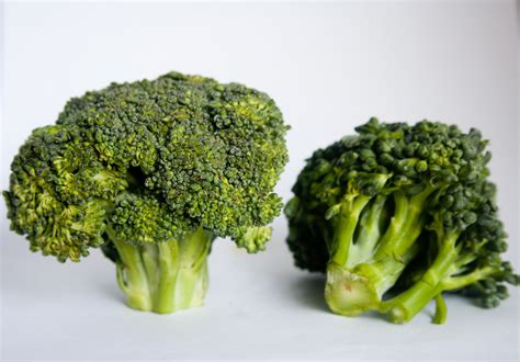 Free Images Food Green Produce Two Healthy Snack Broccoli Plants Cut Double Raw