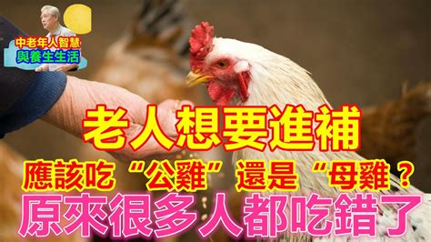 老人想要進補，應該吃“公雞”還是“母雞”？原來很多人都吃錯了 Youtube