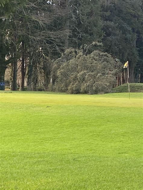 CARNAGE: Popular Tipperary sports club reveals big damage after Storm