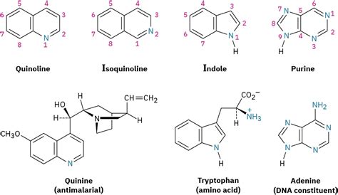 249 Heterocyclic Amines Chemistry Libretexts