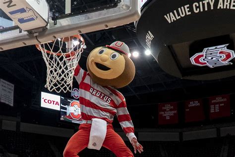 Ranking The Mascots Of The Ncaaw — Cute Weird And Horrific Swish Appeal