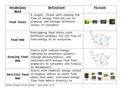 DOCX 1 Cdn Edl Io Web ViewVocabulary Word Definition Picture Food