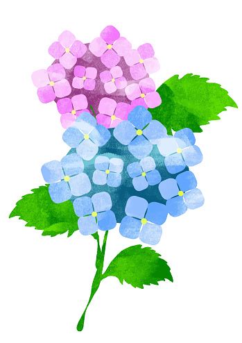 rainy season decoration stock illustration  image