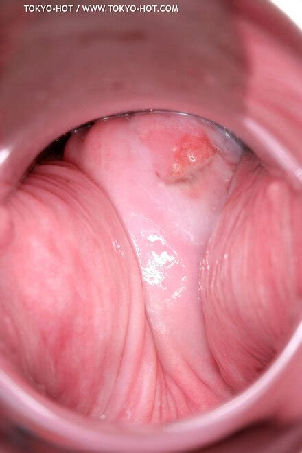 Tokyo Hot N Set Sayuki Hojo Porn Pic