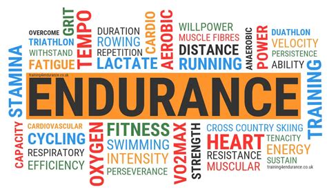 Endurance Meaning Benalmádena Boosts Its Physical Exercise Programme