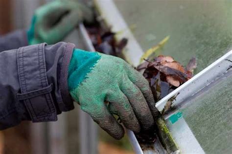Spring Clean Your Greenhouse