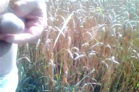 Kurac Gay Small Cock Porn XHamster