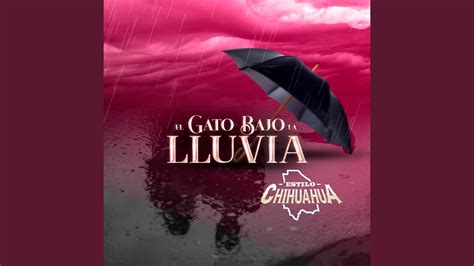 El Gato Bajo La Lluvia YouTube