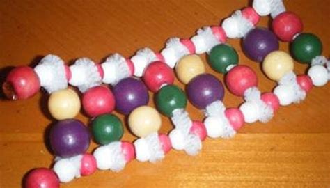 How to Make DNA With Pipe Cleaners & Pony Beads | Sciencing