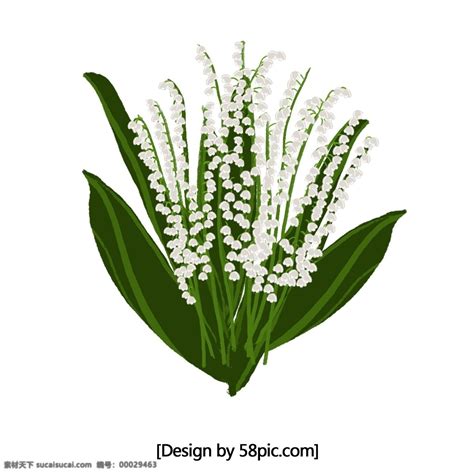 铃兰花白绿手绘花材素材图片下载-素材编号00029463-素材天下图库