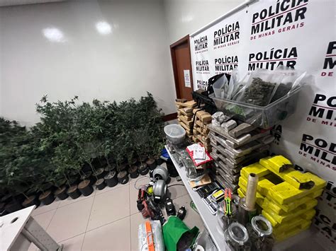 Vídeo polícia encontra laboratório de plantação de maconha em Ipatinga