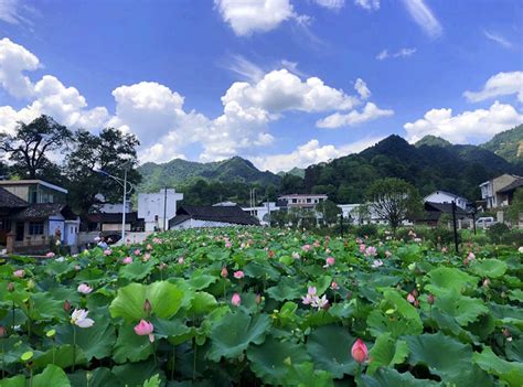 万山：抓好三个关键，全面深化脱贫攻坚，持续巩固扩大脱贫攻坚成果。 搜狐大视野 搜狐新闻