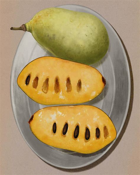 The Untapped Potential of America’s Largest Edible Native Fruit | Saveur