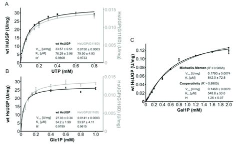 Enzymatic Activity And Kinetic Parameters Of Recombinant Wild Type