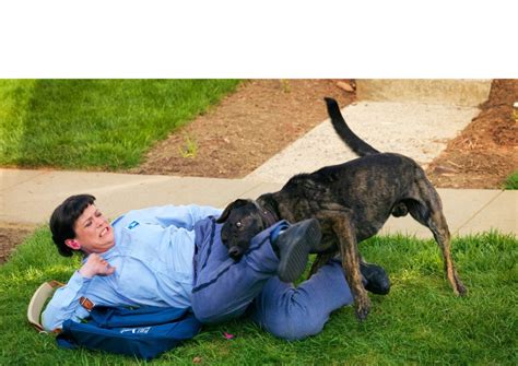 Create meme "big dogs, the dog attacked the man, attacked by a dog ...