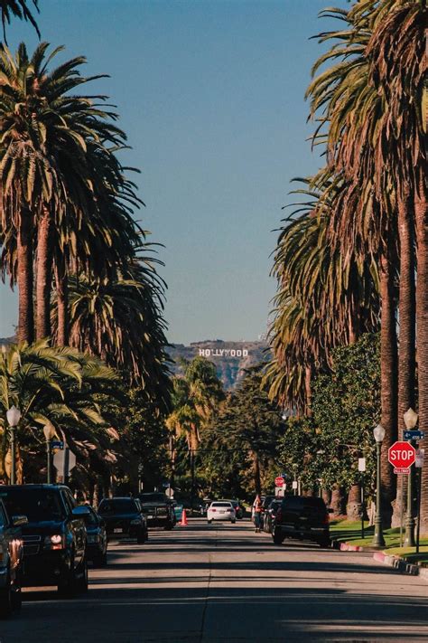 How To Find The Palm Tree Lined Street With A View Of The Hollywood Sign All Thing Los