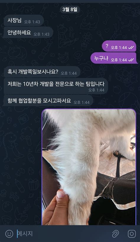 요즘 개발 업계 상황 근황