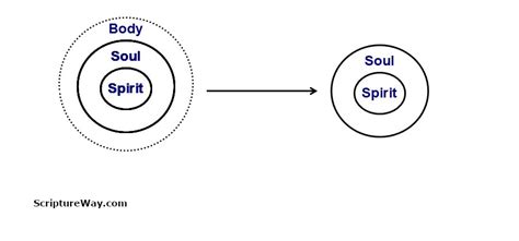 Where Does Your Soul Go When You Die? - ScriptureWay