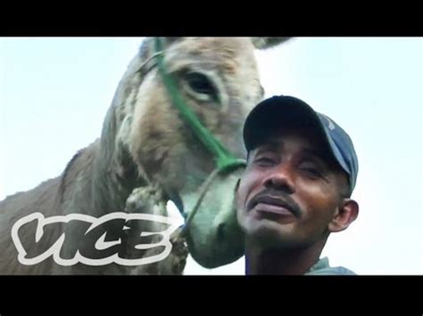 Bizarre Tradition To Fuck Donkeys Reddit