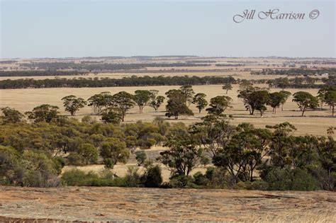 Life Images By Jill Exploring The Western Australian Wheatbelt