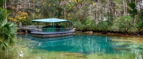 Homosassa Springs Wildlife State Park