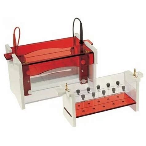 Vertical Slab Gel Electrophoresis System At Best Price In Rourkela