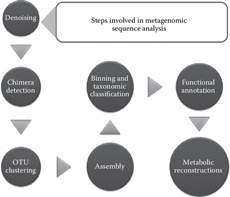 3 Various Steps Involved In Metagenomic Sequence Analysis Download Scientific Diagram