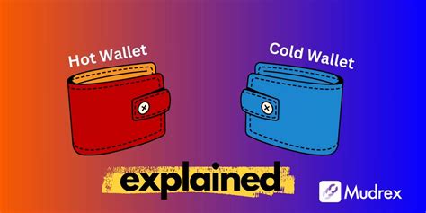 Cryptocurrency Hot Wallet Vs Cold Wallet Major Differences Explained