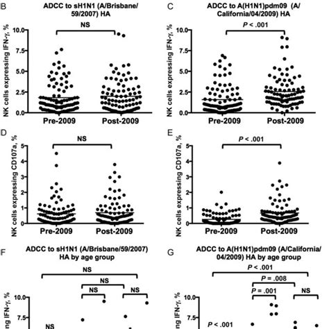 Antibody Dependent Cellular Cytotoxicity Adccmediated Natural Killer Download Scientific