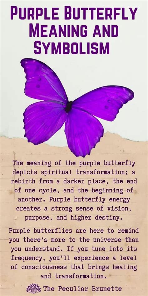 Pin By Christina W On Mom Butterfly Meaning Butterfly Quotes