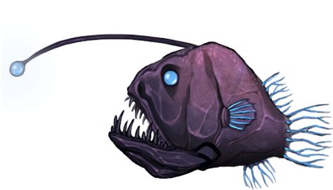 Download Angler Fish Trilobite Png Image With No Background