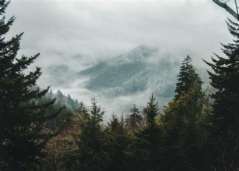 Best Great Smoky Mountain National Park Images On Pholder Earth Porn Hiking And National Park