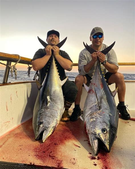 San Diego Fish Reports Point Loma Sportfishing