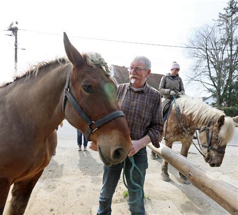 Belfort Une Chevauchée Organisée Par Les Attelages Du Lion