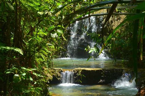 Suva Fijian Nature And Waterfall Tour Getyourguide