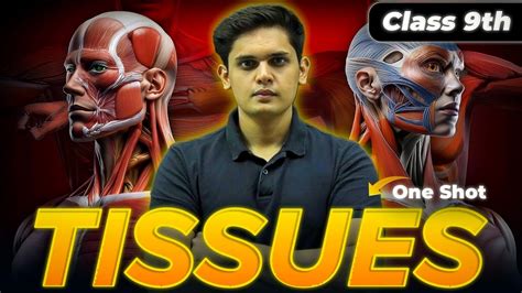 Tissues Complete Chapter🔥 Class 9th Science Ncert Covered Prashant Kirad Youtube