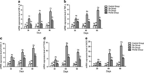 The Antagonistic Effect Of Se On Pb Induced Mrna Expression Of Nf κb