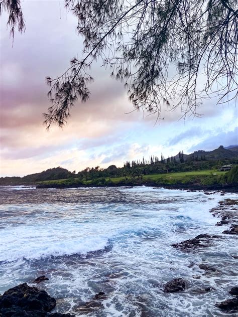 Anonib Hawaii: A Hidden Paradise Waiting to Be Discovered. - rotujqk
