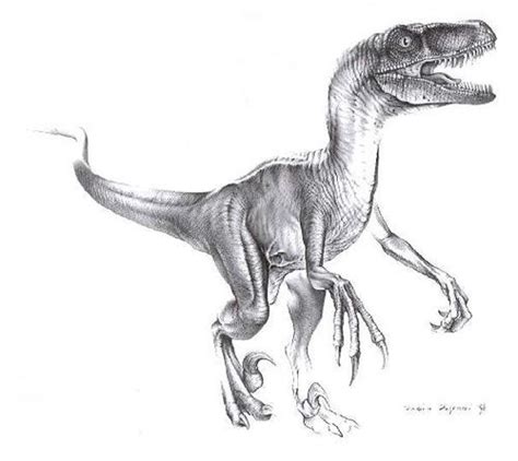 Velociraptor mongoliensis Dinosaur - Saurischian Dinosaurs - Planet ...