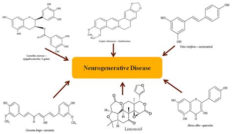 Molecules Free Full Text Neuroprotective Role Of Phytochemicals