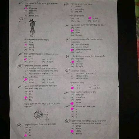 SSC Biology Question Solution All Boards 2023 100 Correct