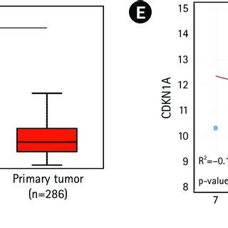 CDKN1A Is A Direct Target Of EHMT2 In Colorectal Cancer A