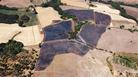 Más De 170 Hectáreas Han Sido Consumidas Por Incendios Forestales En La