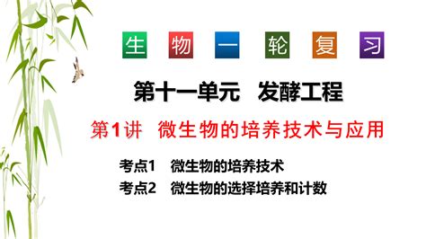 2024届高三一轮复习生物： 微生物的培养技术与应用教学课件正确云资源