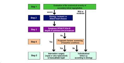 Flowchart For Decision Making In Secondary Mitral Regurgitationfc