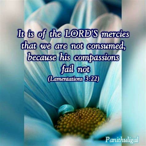 It Is Of The Lord S Mercies That We Are Not Consumed Because His