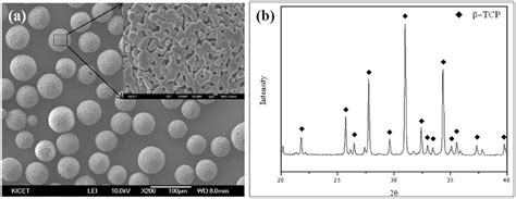 A Sem Images And B Xrd Patterns Of Tcp Microspheres Generated By