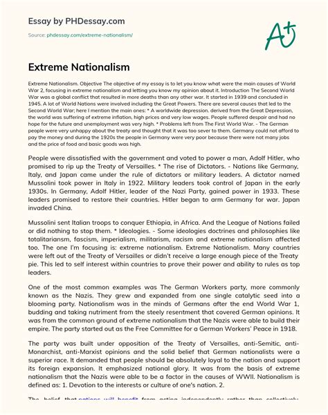 Extreme Nationalism Essay Example - PHDessay.com