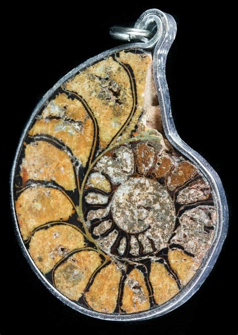 Moroccan Ammonite Fossil Pendant For Sale (#58360) - FossilEra.com