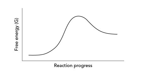 [solved] The Reaction Coordinate Diagram Below Depicts A Reaction That Course Hero